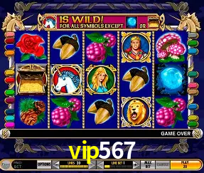 VIP Casino vip567