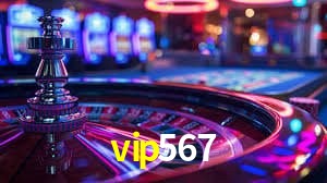 Experiência VIP vip567